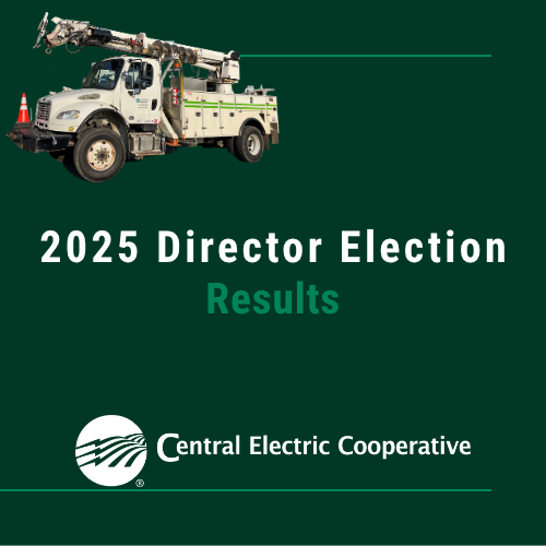 2025 CEC Director Election Results