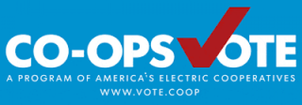 vote