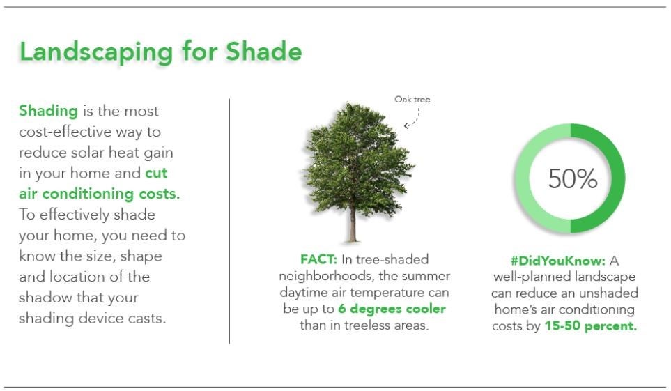 TREE SHADING